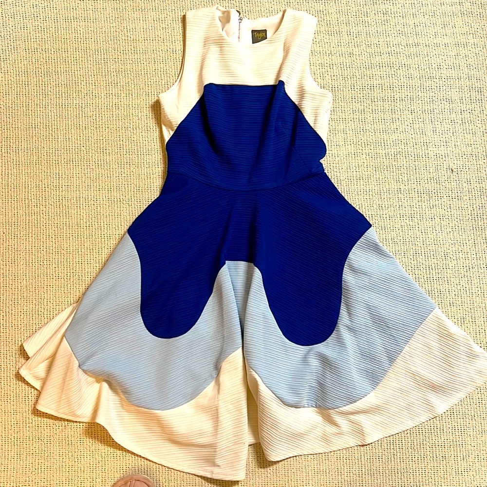 Taylor Fit & Flare Sleeveless Dress Size 2